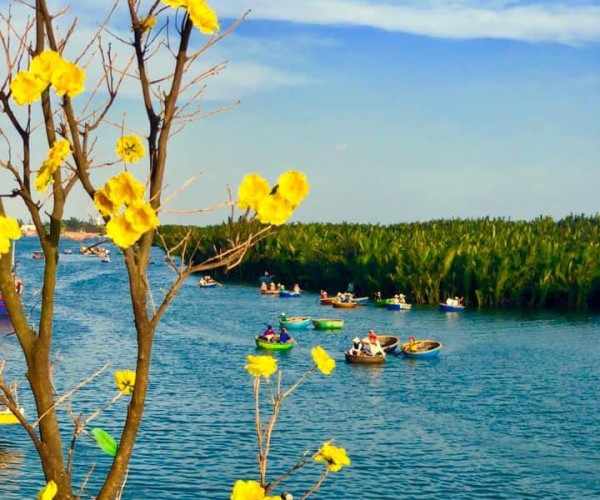 Tour Đà Nẵng Rừng Dừa Cẩm Thanh 1 Ngày